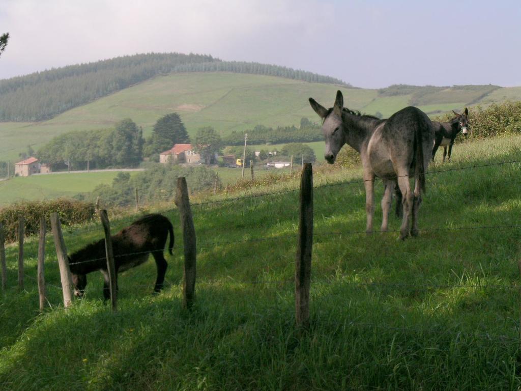 Agroturismo Kasa Barri Бермео Экстерьер фото